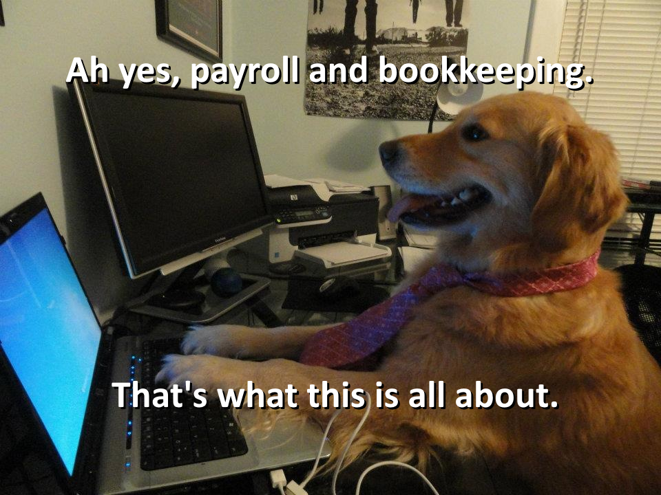 no-idea-what-im-doing-dog-meme